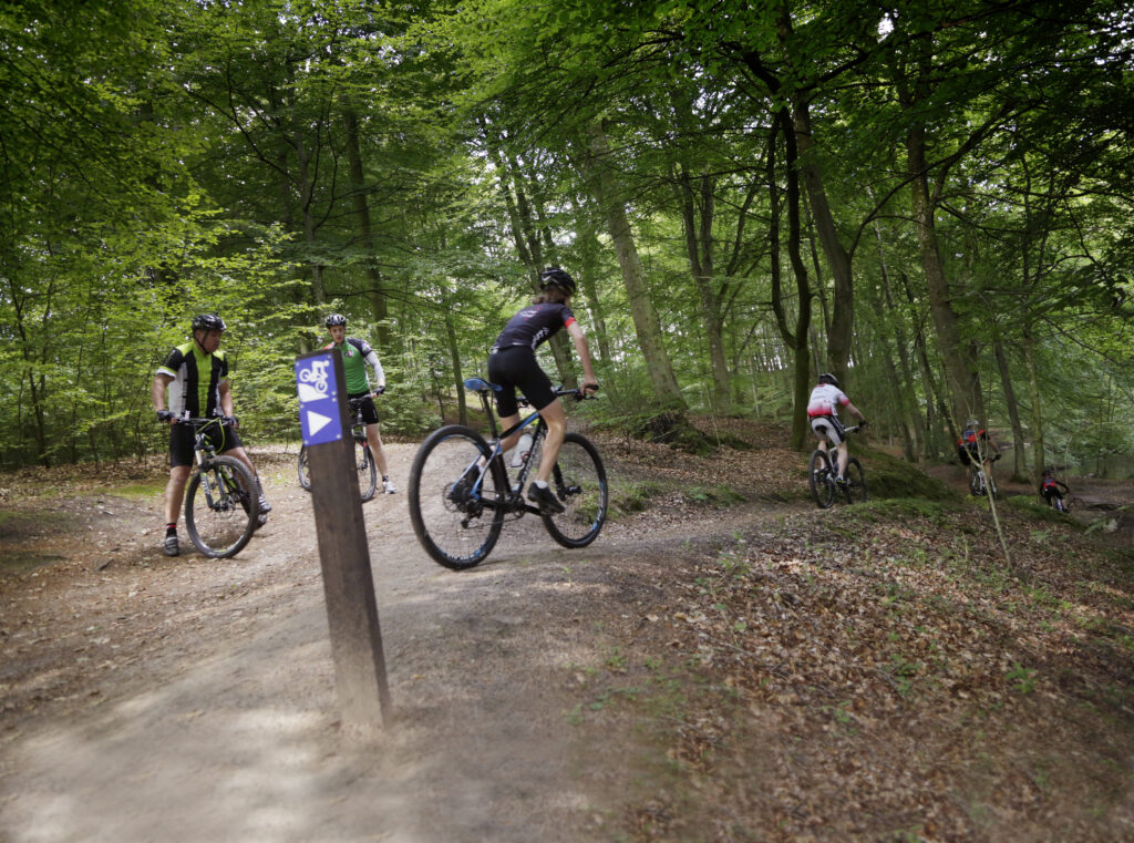 Mountainbikere i skoven